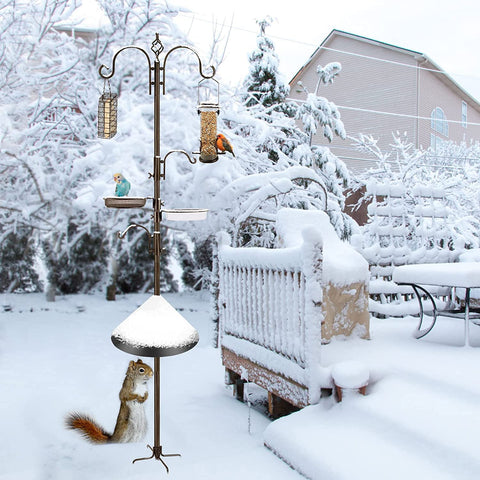 MIXXIDEA water dish basin keeps birds hydrated during visits