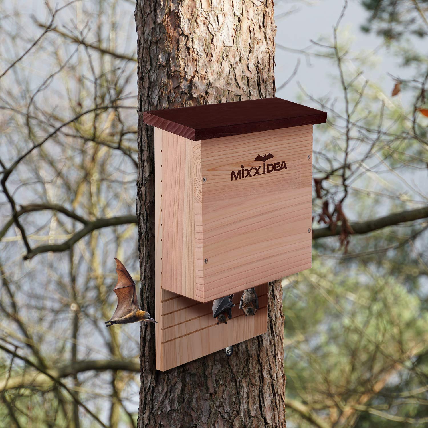 MIXXIDEA weather resistant bat shelter withstands outdoor elements