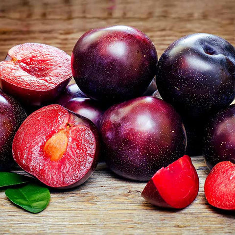 Mixrug american red plum tree sapling: compact growth for yard harvest possibilities