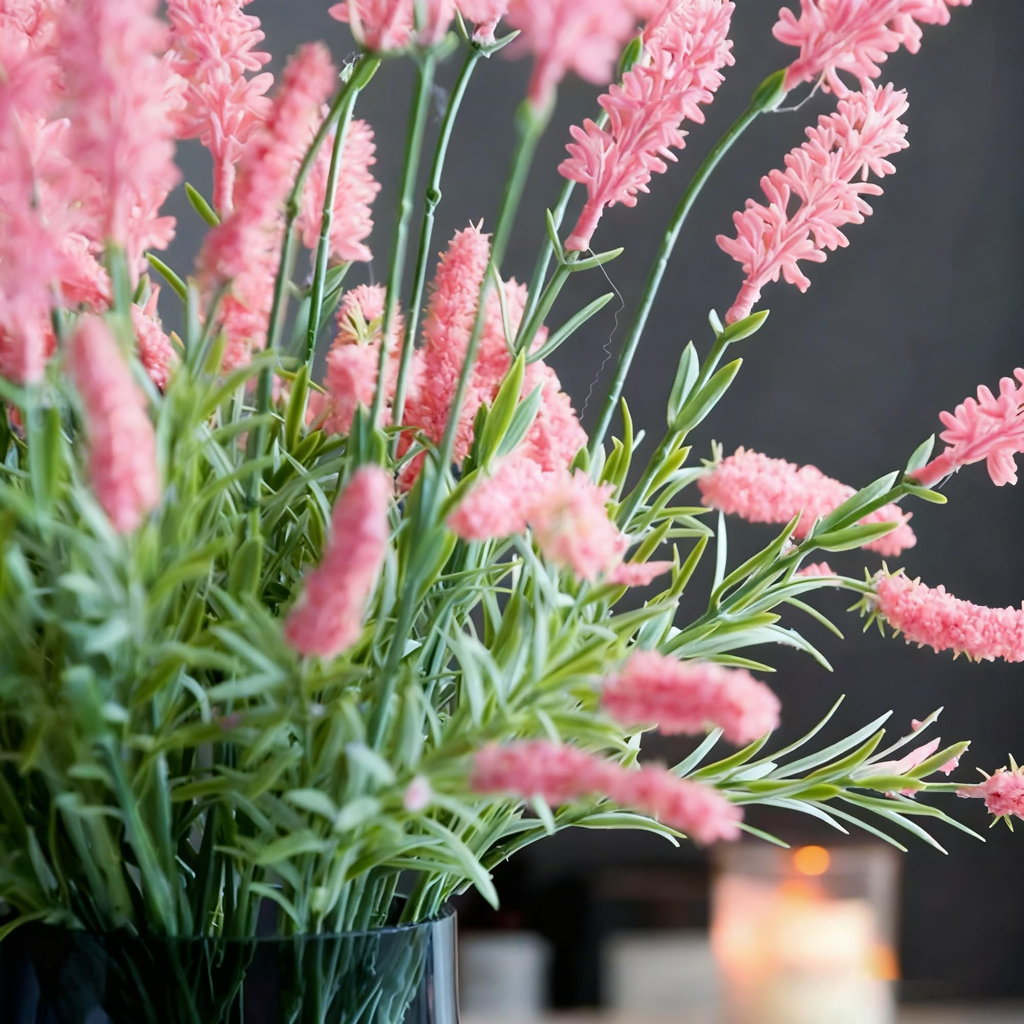 Bees and butterflies visit Mixrug lavender blooms