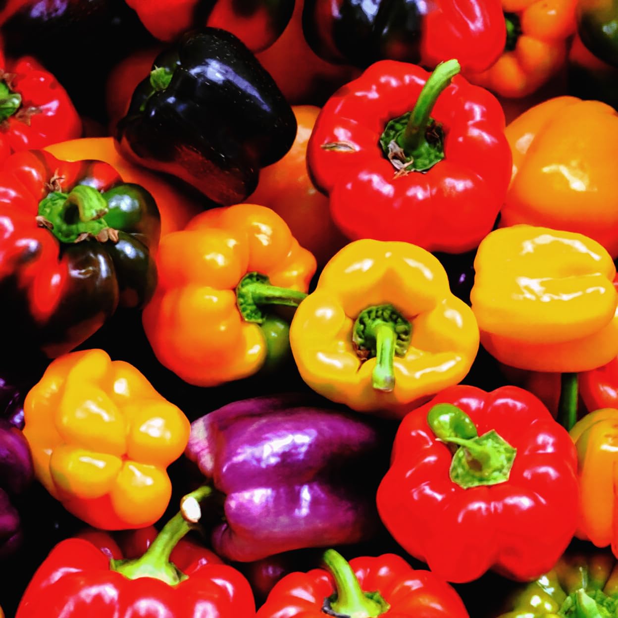 Mixrug sweet, crisp peppers with thick walls ideal for salads.