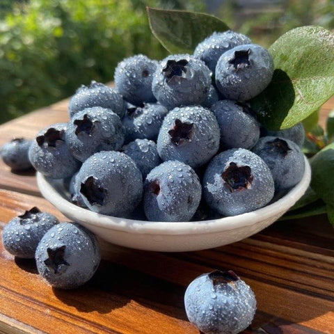 Mixrug strawberry seeds closeup, great for patio strawberry pots and edibles.