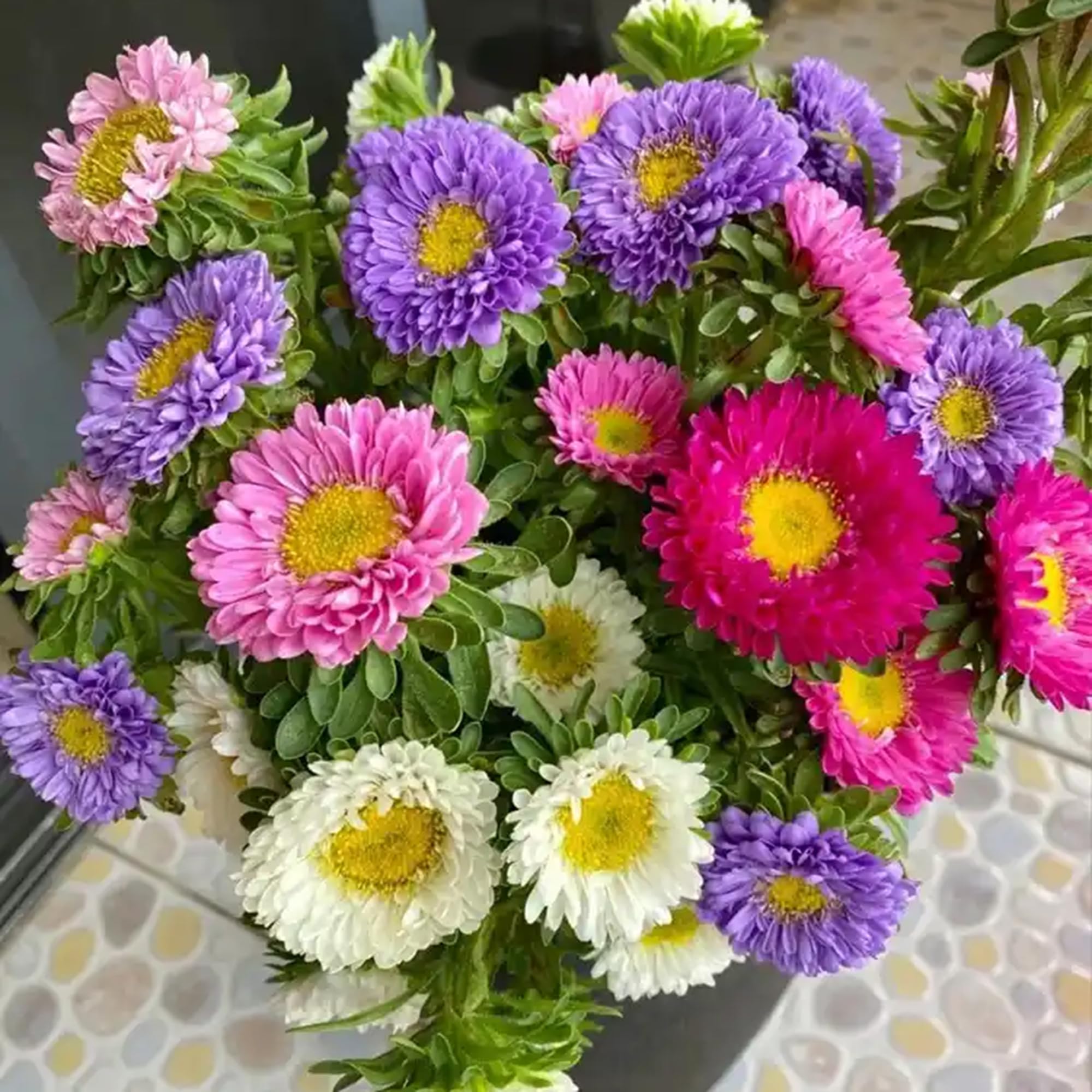 Mixrug Chrysanthemum seeds pollinator-friendly blooms invite beneficial insects to the garden.