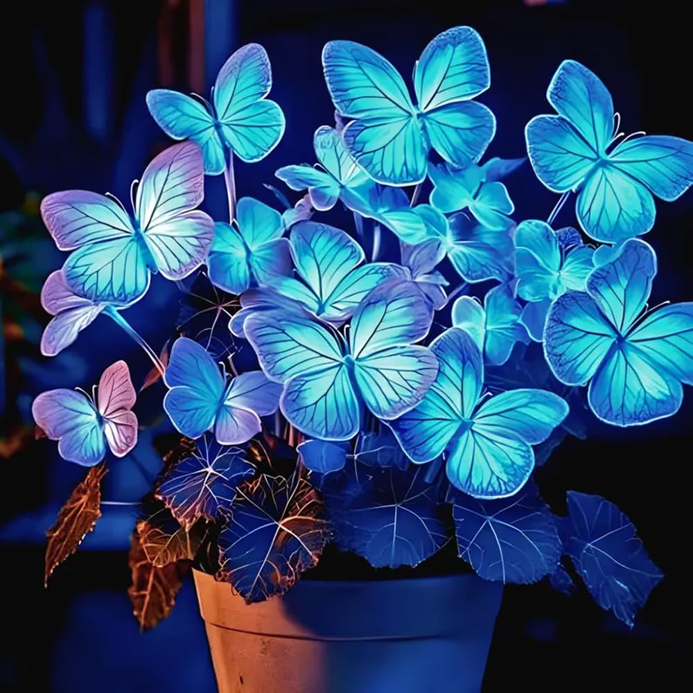 Mixrug coleus seedlings in container ideal for balcony gardens