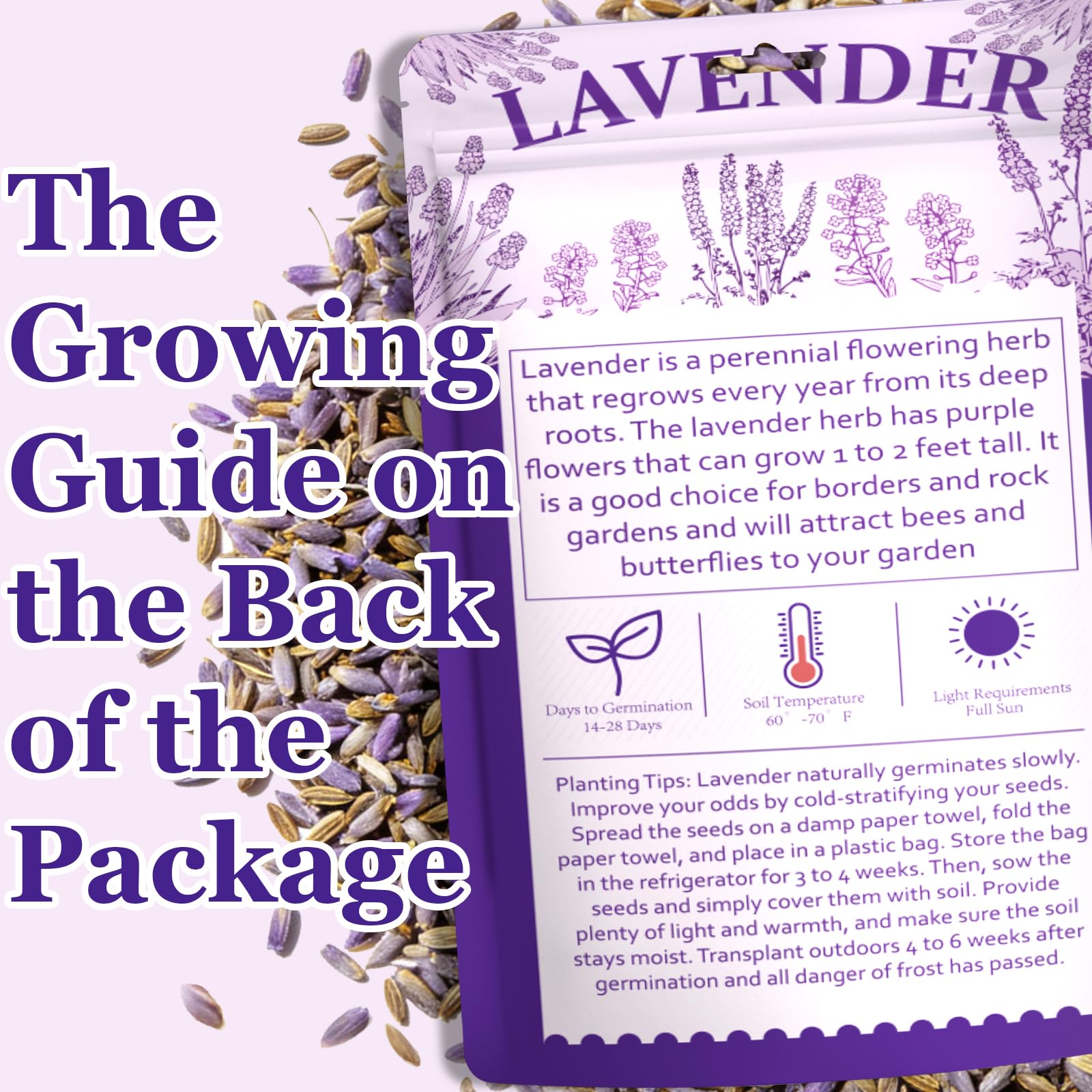 Mixrug Dwarf Lavender Seeds germination time guidance for easy start