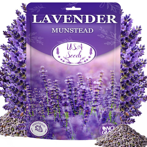 Mixrug Dwarf Lavender Seeds packaging highlighting non-GMO heirloom seeds for home gardening