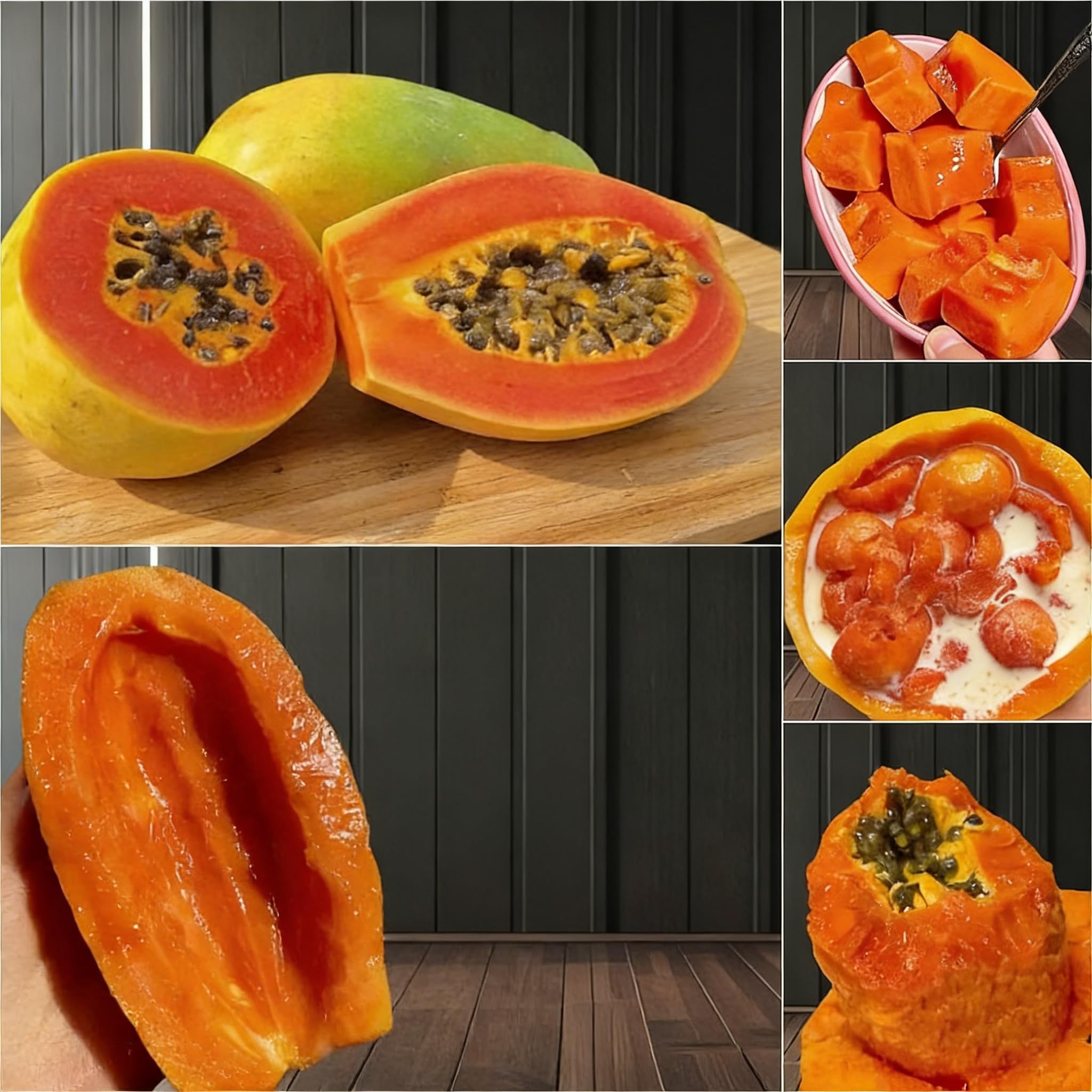 Mixrug Dwarf Papaya Garden Setup demonstrates versatile growing in sunlit yards.