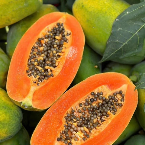 Mixrug Dwarf Papaya Harvest Ready Fruits invite fresh, flavorful snacks from your backyard.