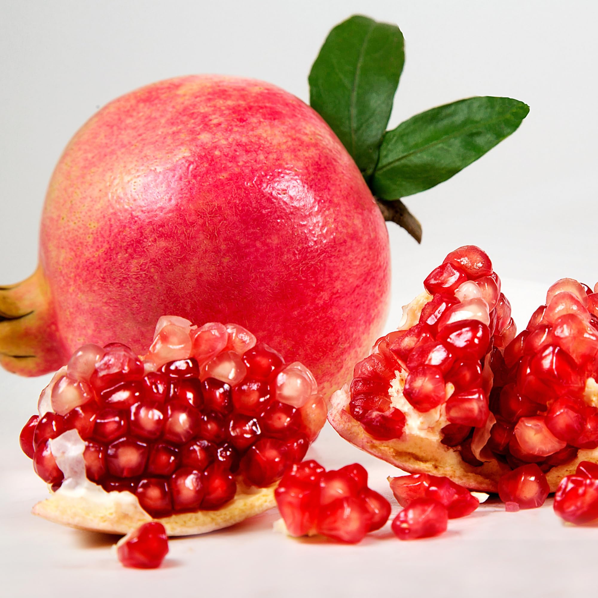 Juicy Mixrug Dwarf Pomegranate fruit closeup showing harvest-ready flavor.