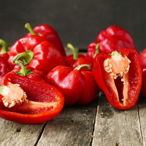 Mixrug harvest-ready peppers offering early production and extended harvest.