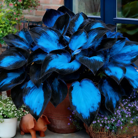 Mixrug Hosta garden border creates a lush, layered look in the shade.