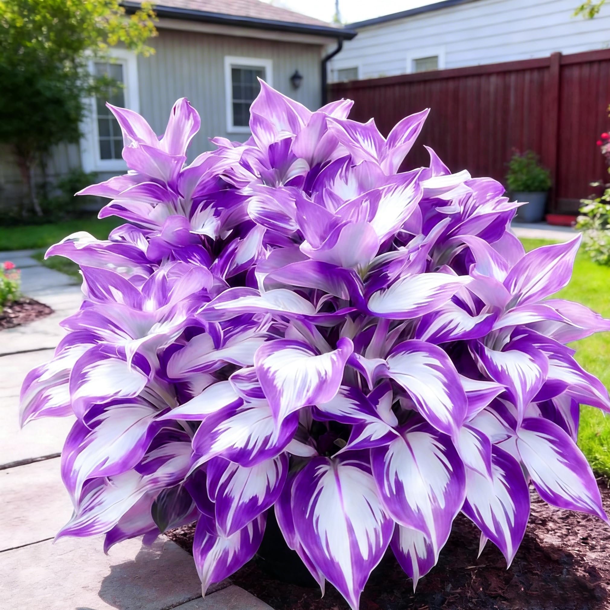 Mixrug Hosta blooms attracting butterflies and bees in a vibrant border.