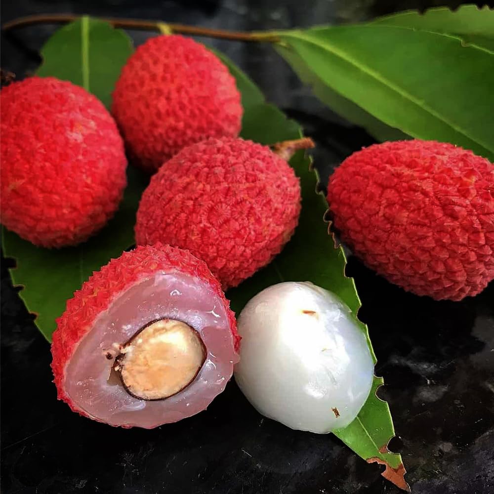 Lychee seeds planted in well-drained soil for warm climates