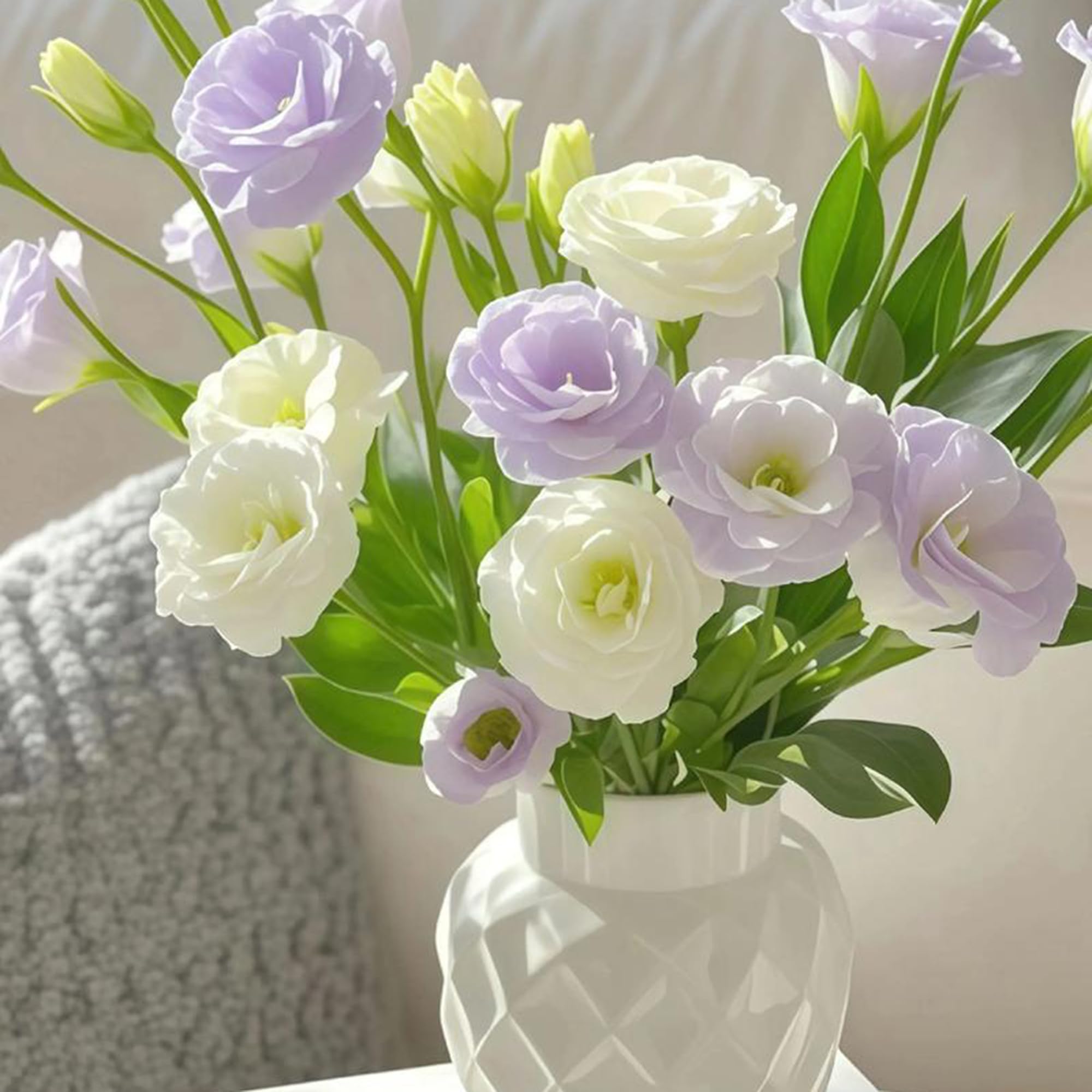 Mixrug Mixed Lisianthus seeds color swatch promising bright petals for borders.