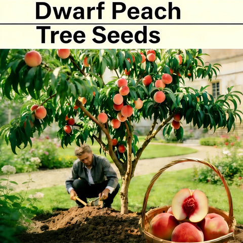 Mixrug Organic Dwarf Peach Seeds fragrant flowers attracting pollinators
