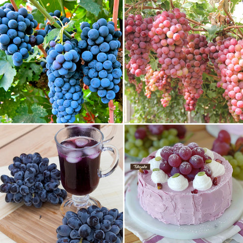 Mixrug grape seeds with fragrant flowers attracting pollinators for a lush garden