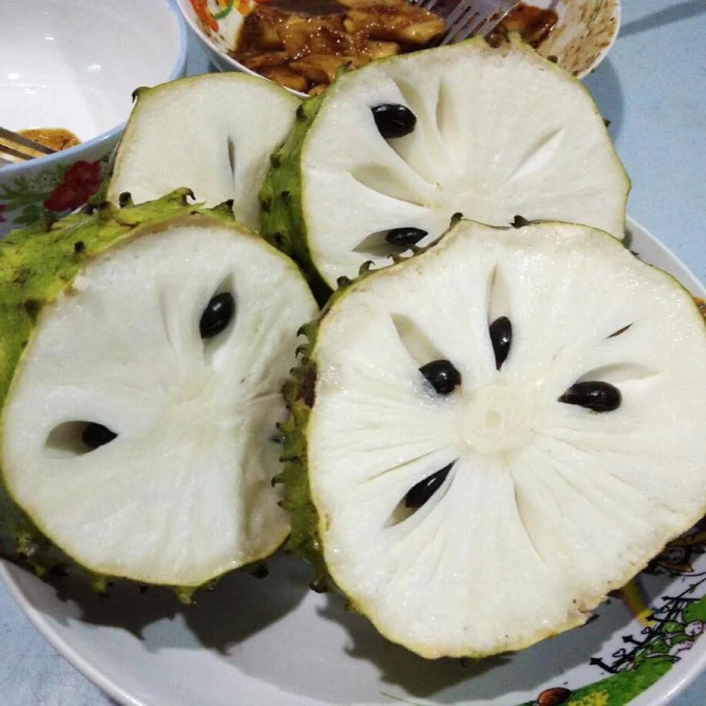 Mixrug soursop fruit and leaves close-up highlight sensory appeal.