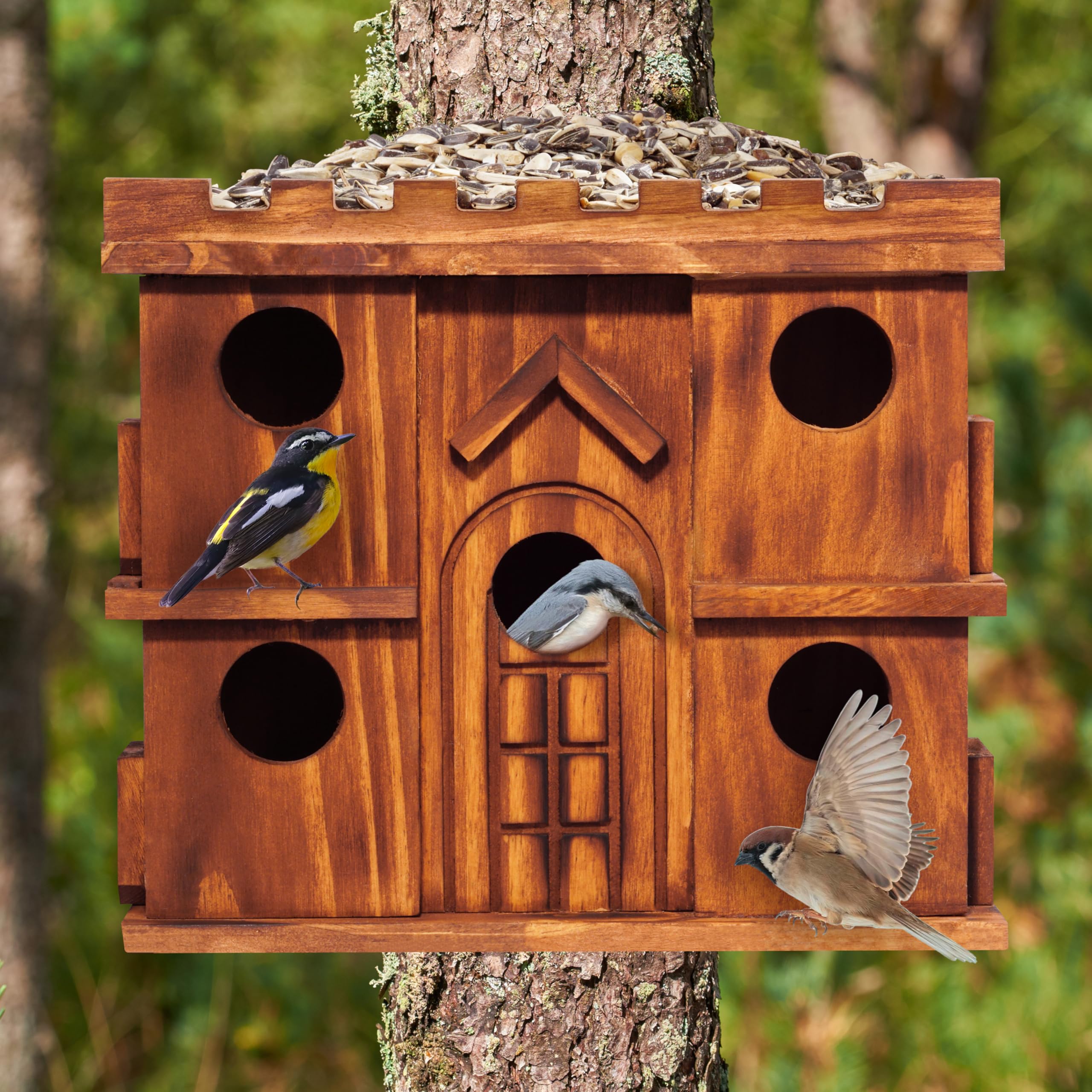 MIXUMON 1.5-inch entrance holes keep small birds safe while deterring larger predators.