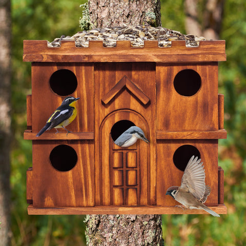 MIXUMON 1.5-inch entrance holes keep small birds safe while deterring larger predators.