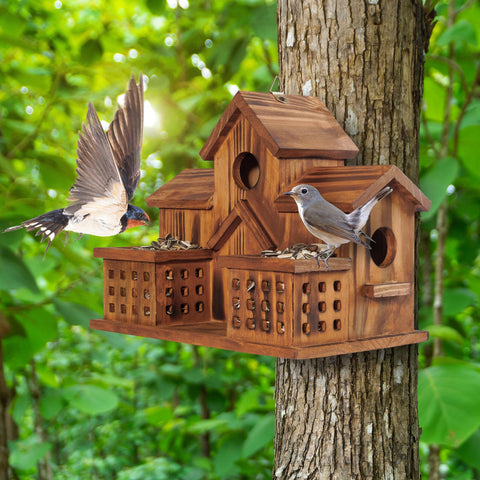 MIXUMON front feeders invite birds to feed and nest