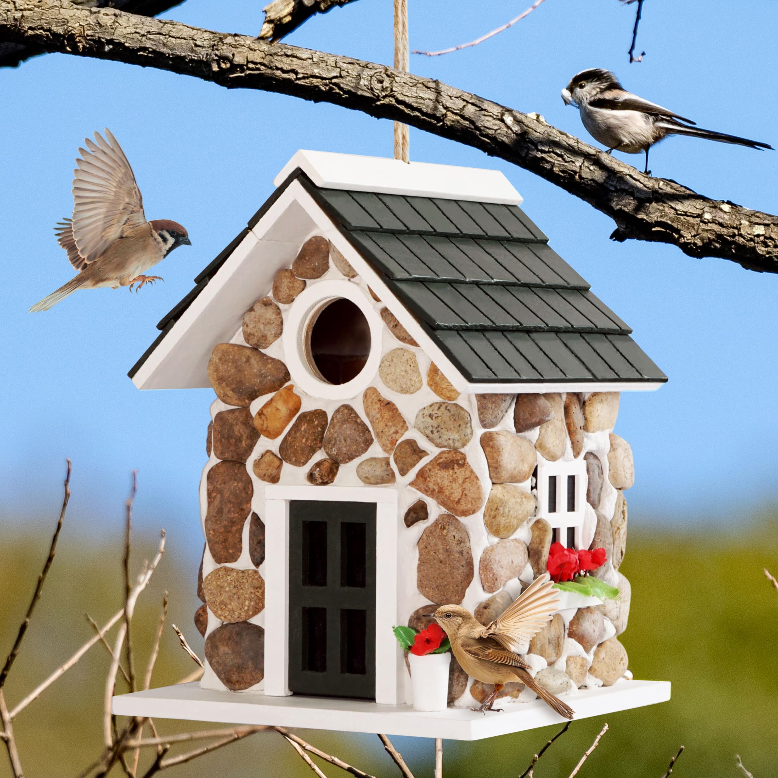MIXUMON bird house with one-point-five-inch entrance for small birds