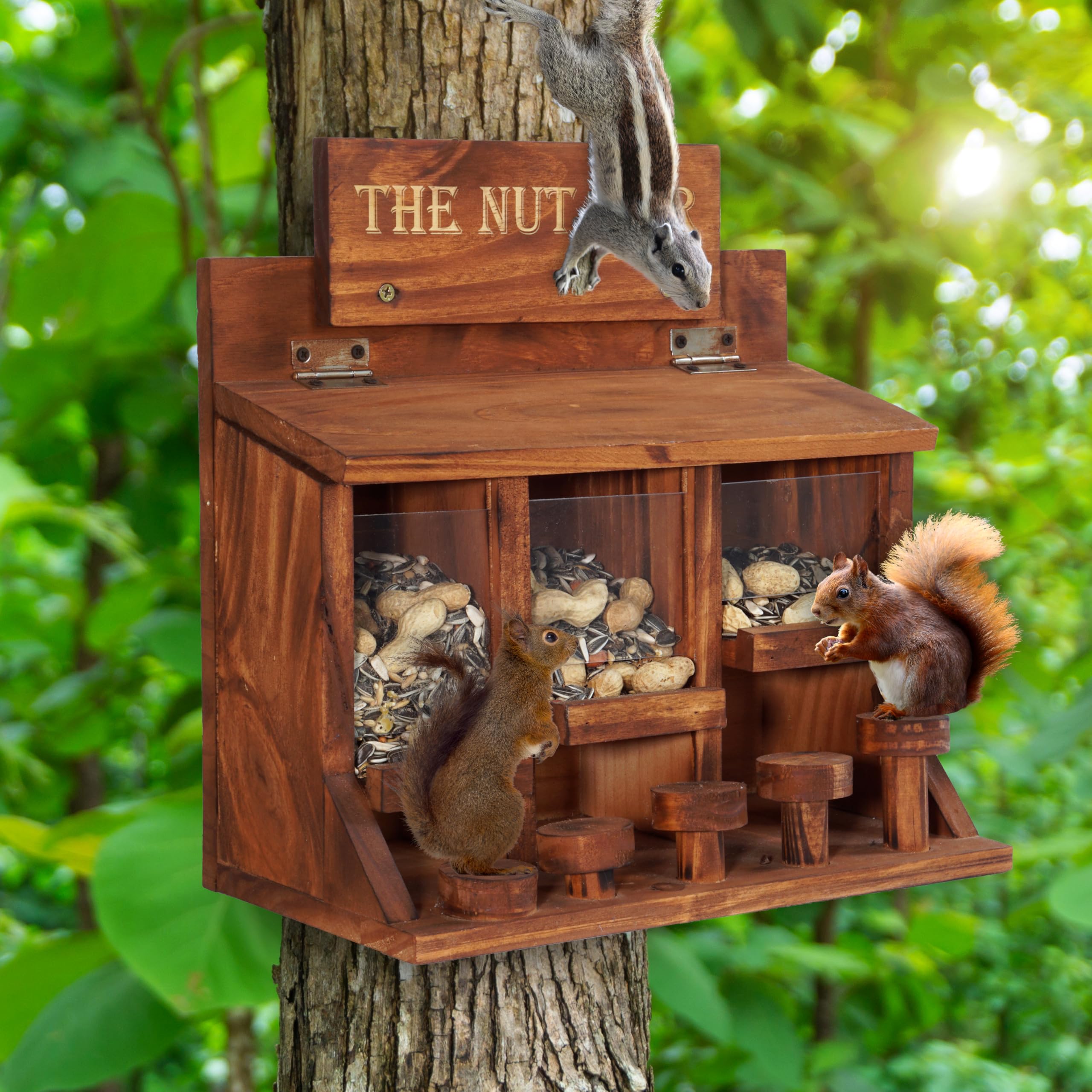 MIXUMON Nut Bar Squirrel Feeder Table five-bar-stool design in action.