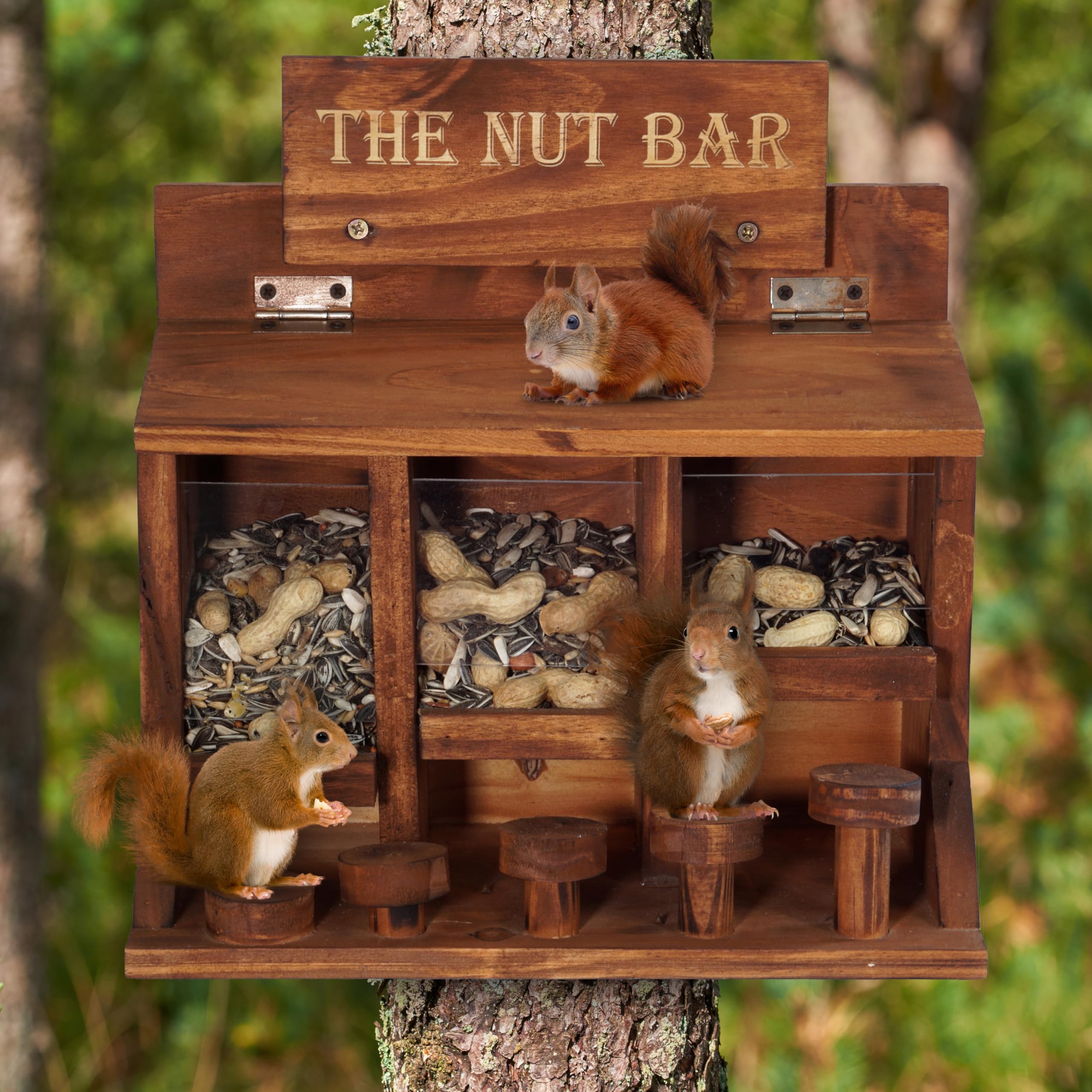 MIXUMON Nut Bar Squirrel Feeder Table top view showing four seed compartments.