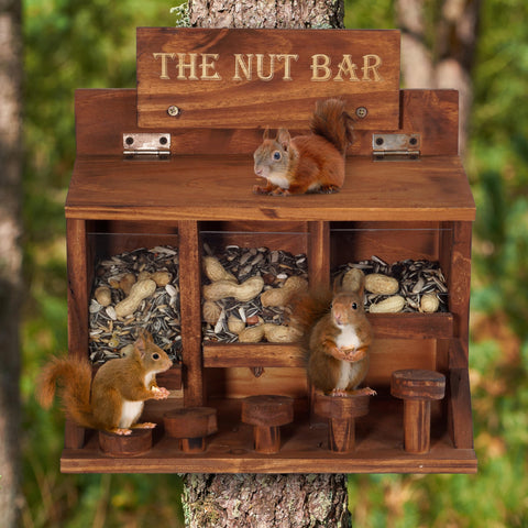 MIXUMON Nut Bar Squirrel Feeder Table top view showing four seed compartments.