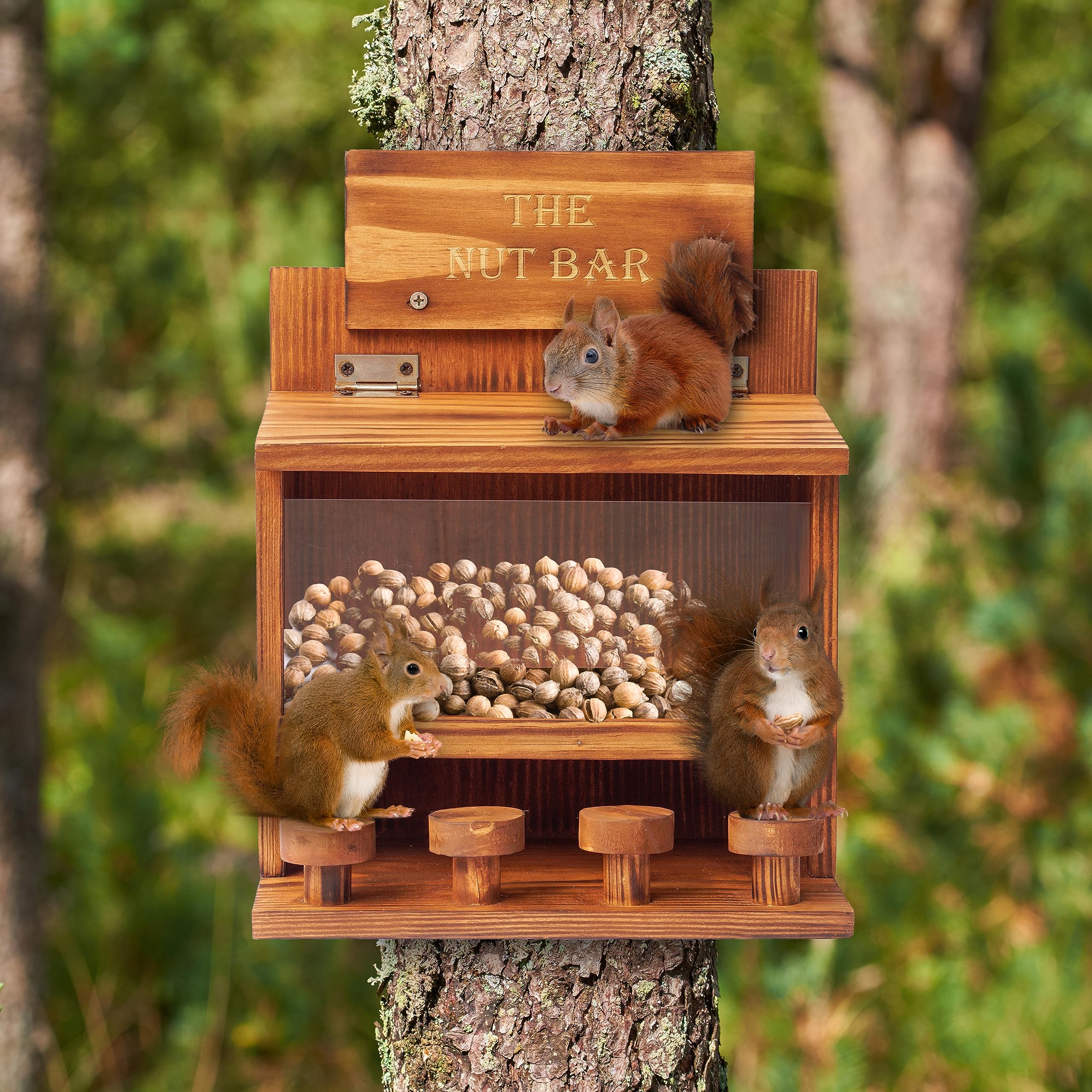 Mixumon Squirrel Feeder Table classic brown finish blends with garden.