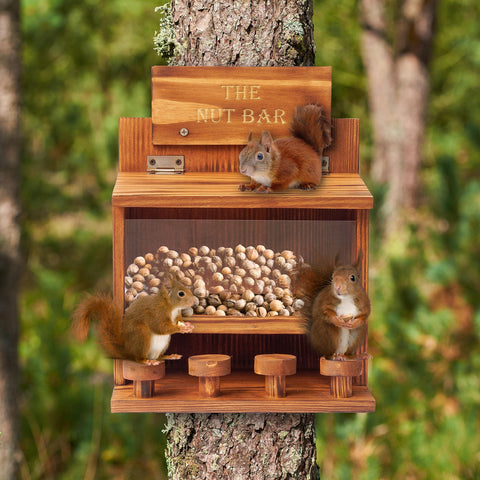 Mixumon Squirrel Feeder Table classic brown finish blends with garden.