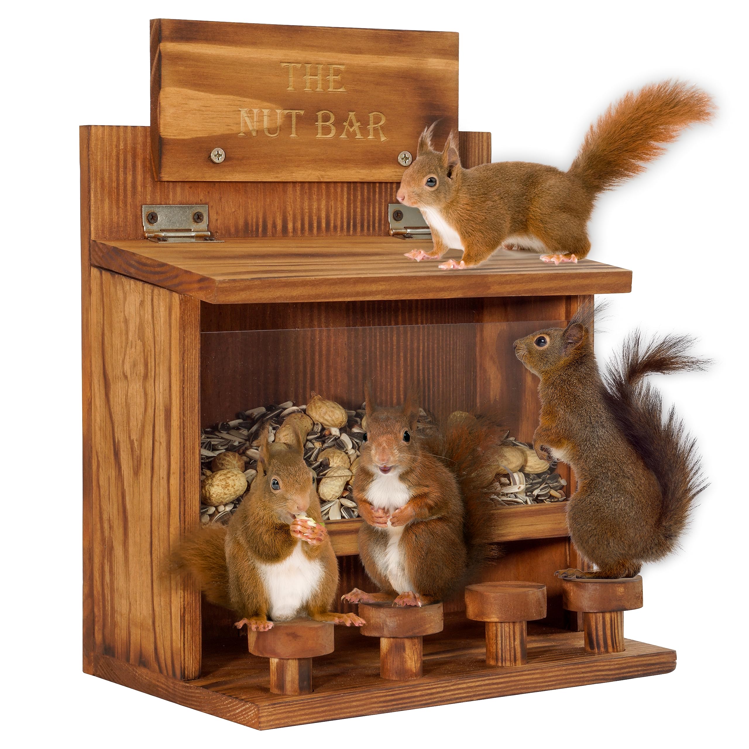 Mixumon Squirrel Feeder Table The Nut Bar in wood attracts curious squirrels.
