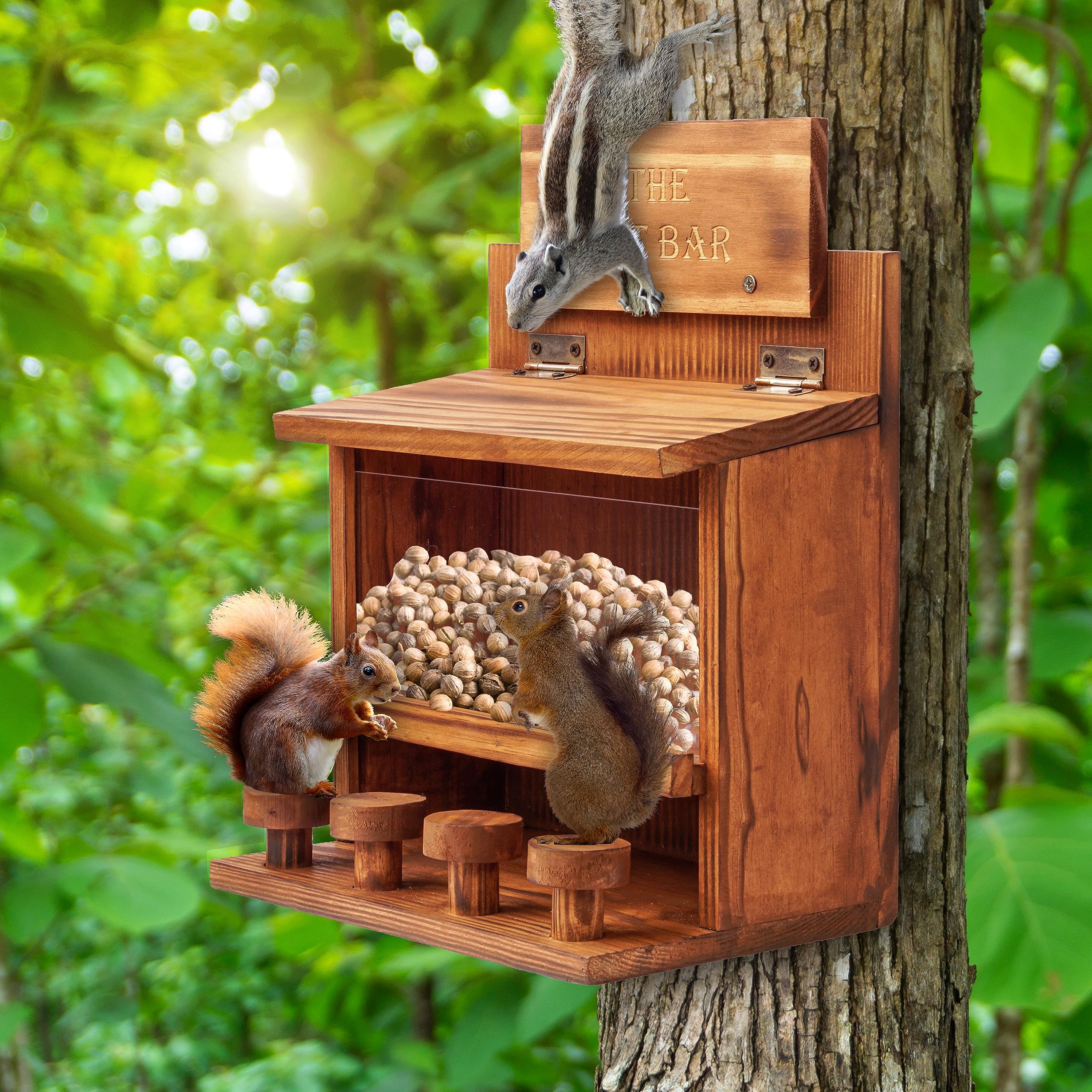 Mixumon Squirrel Feeder Table transparent acrylic plate aids seed pickup.