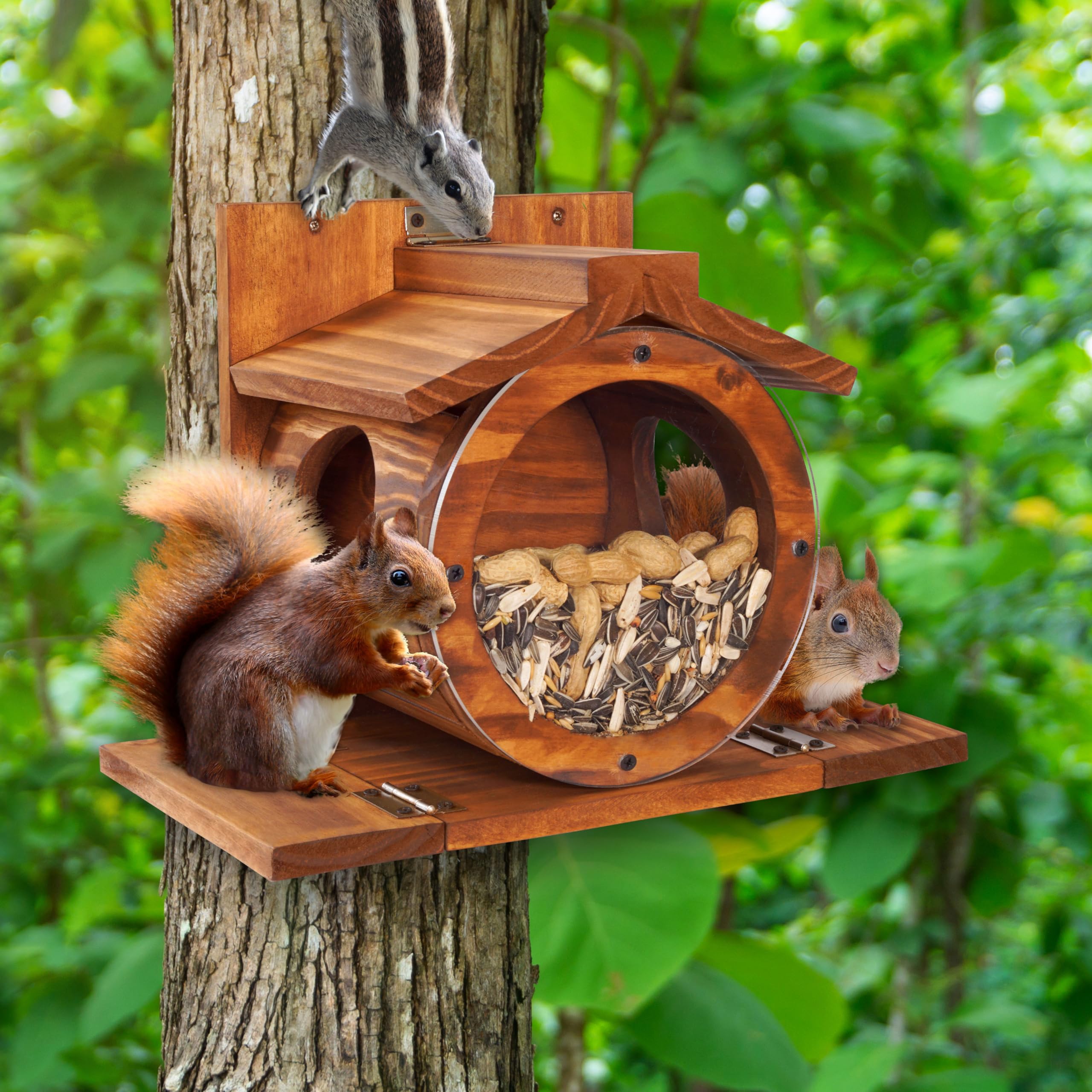 MIXUMON Wood Squirrel Feeder acrylic-front panel for visible feeding.