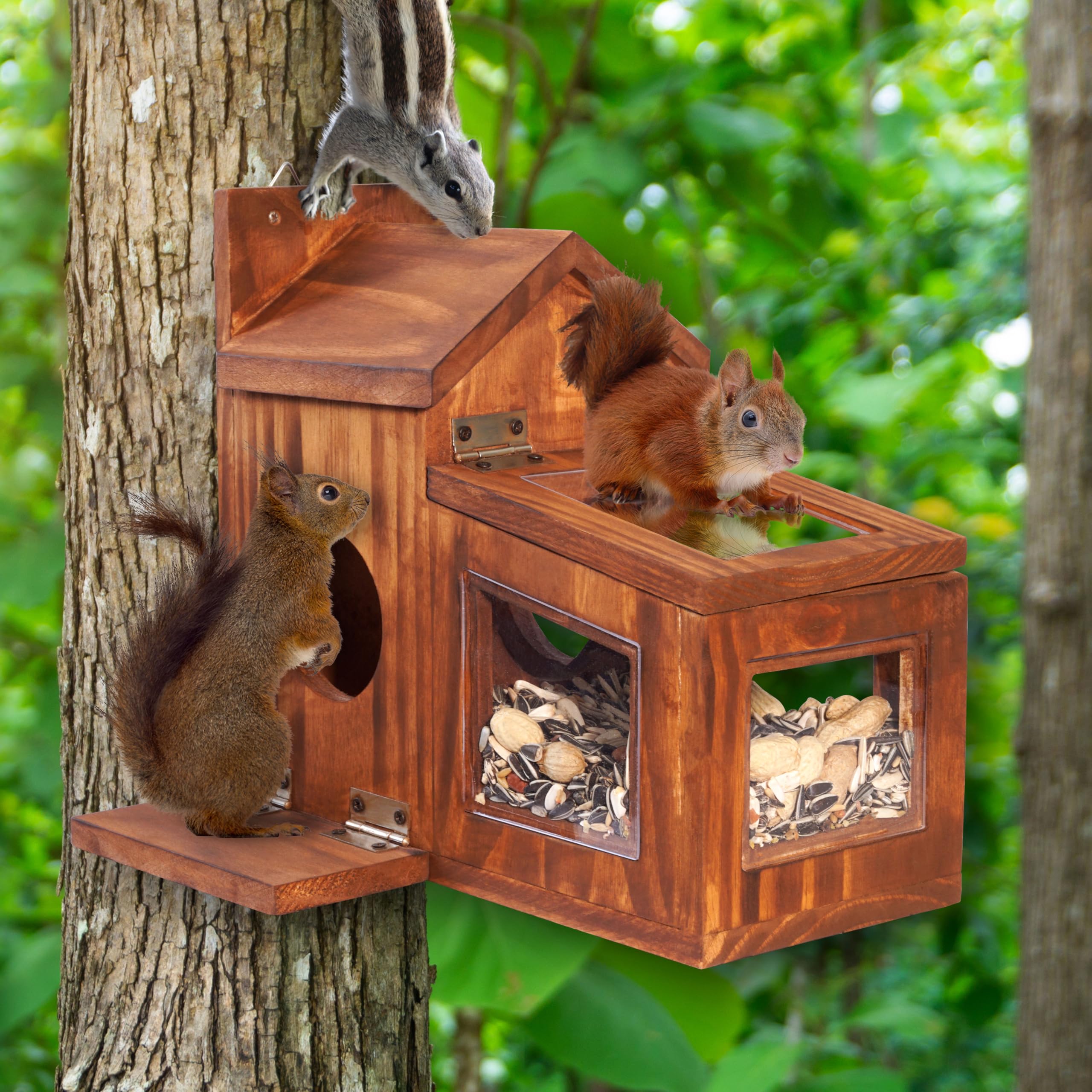 Mixumon Wood Squirrel Feeder acrylic sides provide clear visibility of seed