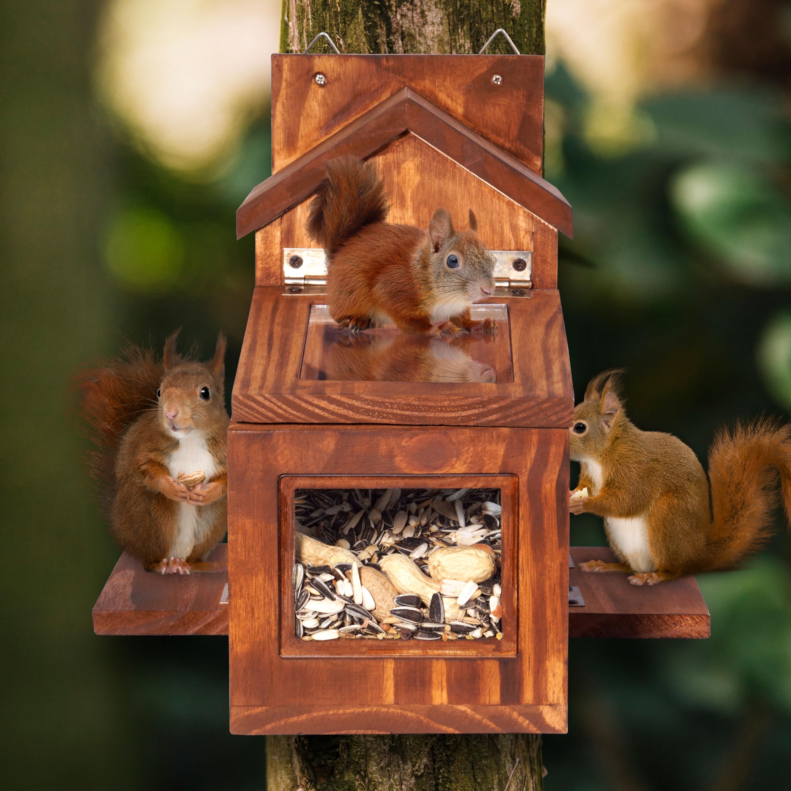 Mixumon Wood Squirrel Feeder transparent roof protects seeds from moisture