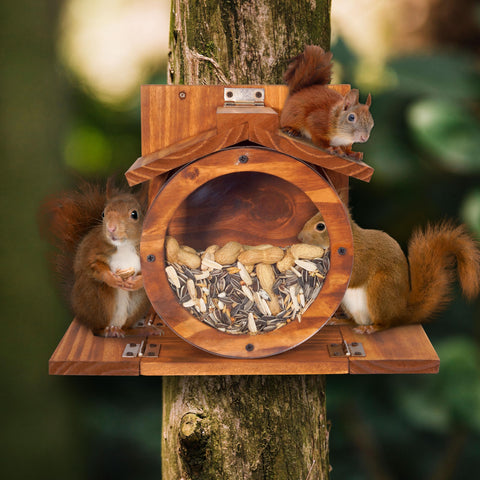 MIXUMON Wood Squirrel Feeder roof-open view showing easy filling.