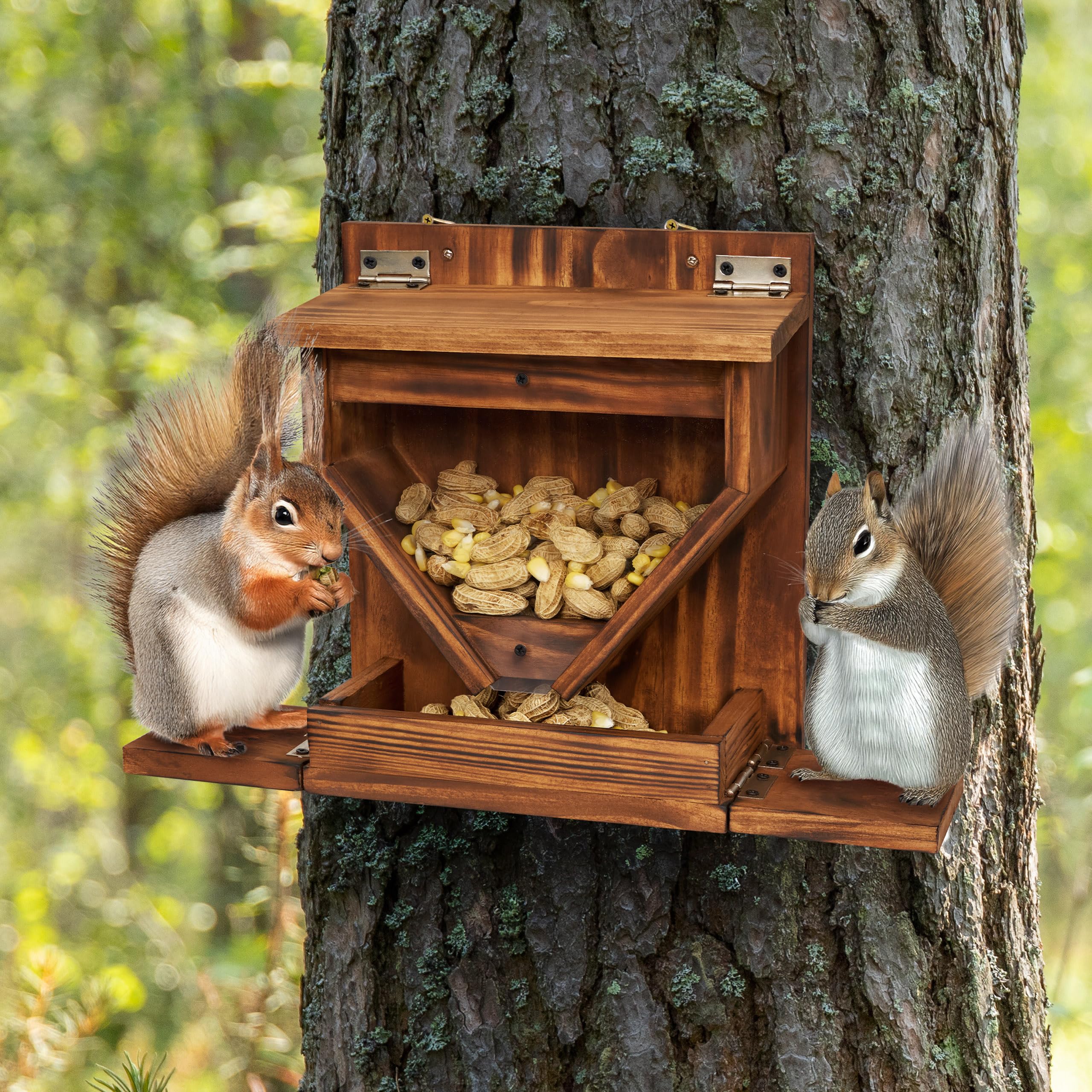MIXUMON wood squirrel feeder transparent front showcases seed flow to squirrels