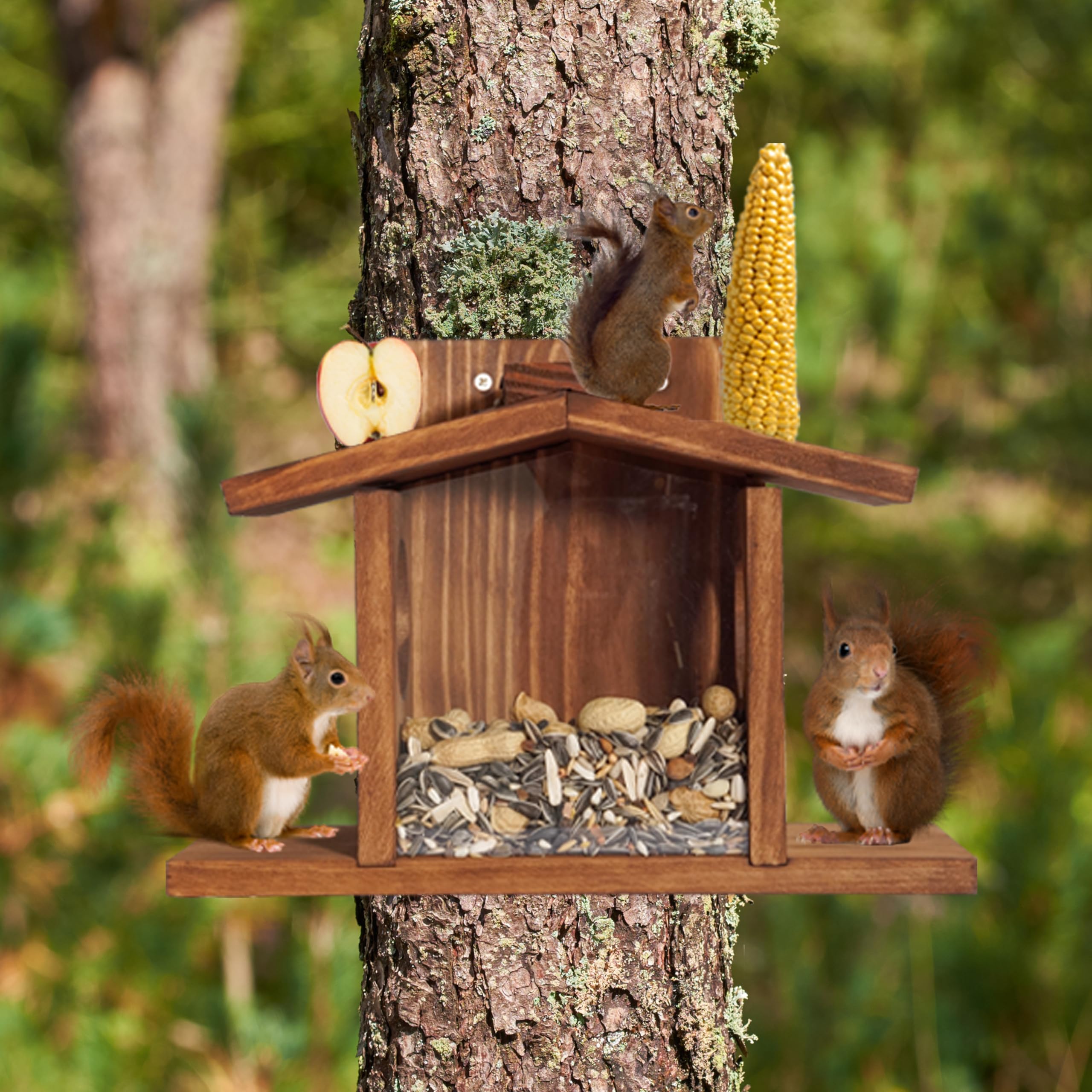 MIXUMON two-entry holes guide squirrels to food.