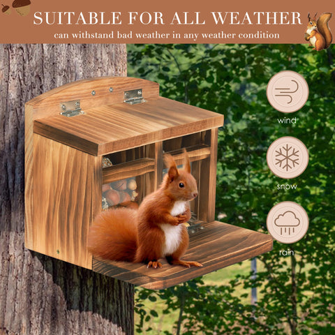 MIXXIDEA chipmunk feeder demonstrates solid wood bottom for sturdy outdoor use.