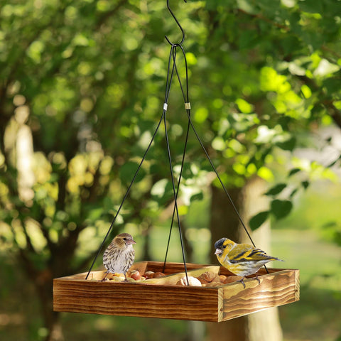 MIXXIDEA easy-refill design makes replenishing seeds quick and spill-free