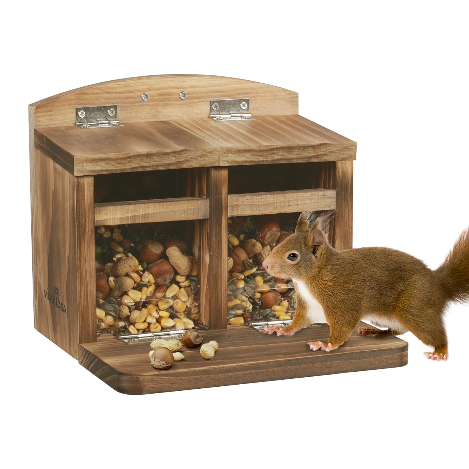 MIXXIDEA family-friendly wildlife moment when squirrels visit the feeder.