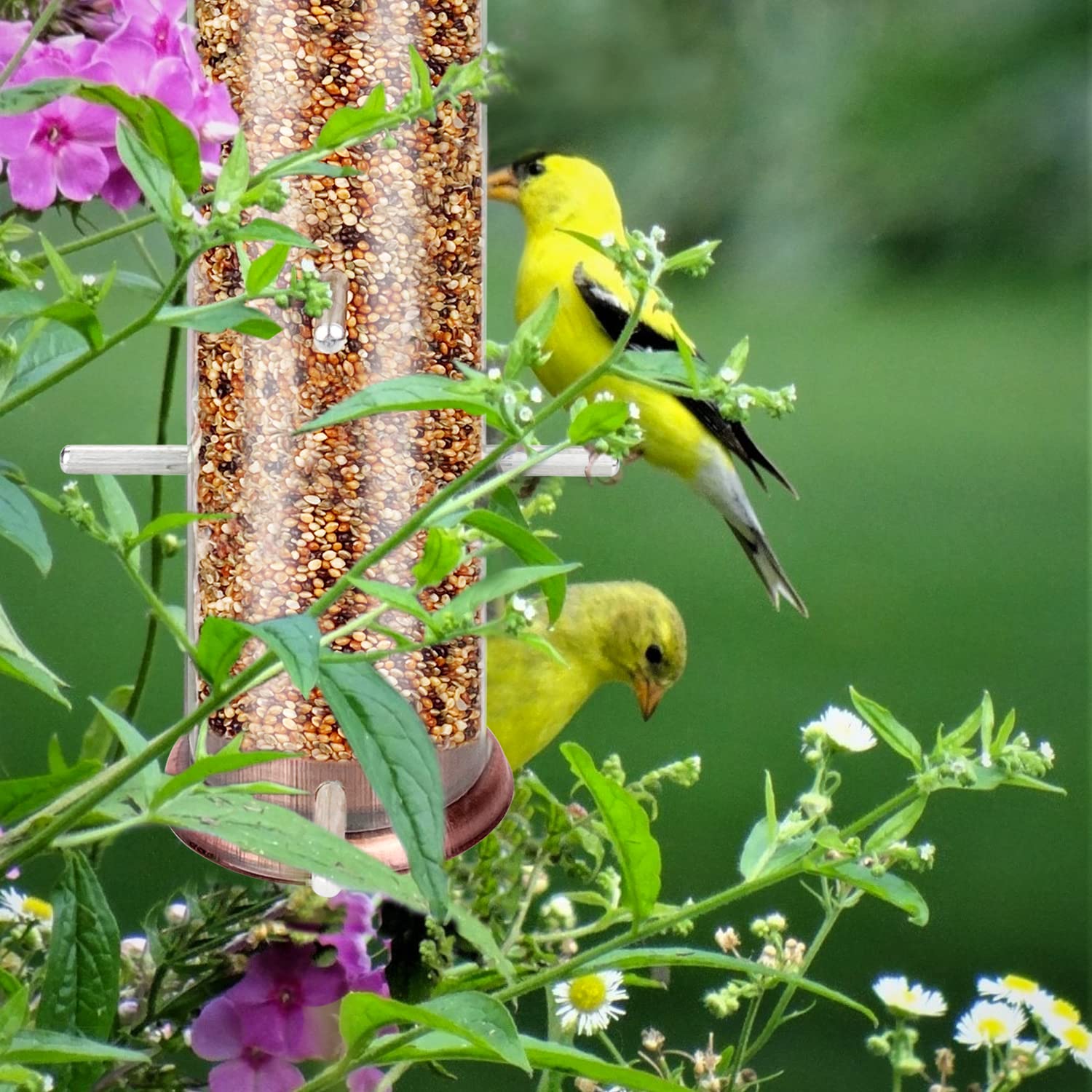 MIXXIDEA Large capacity supports extended bird viewing sessions.