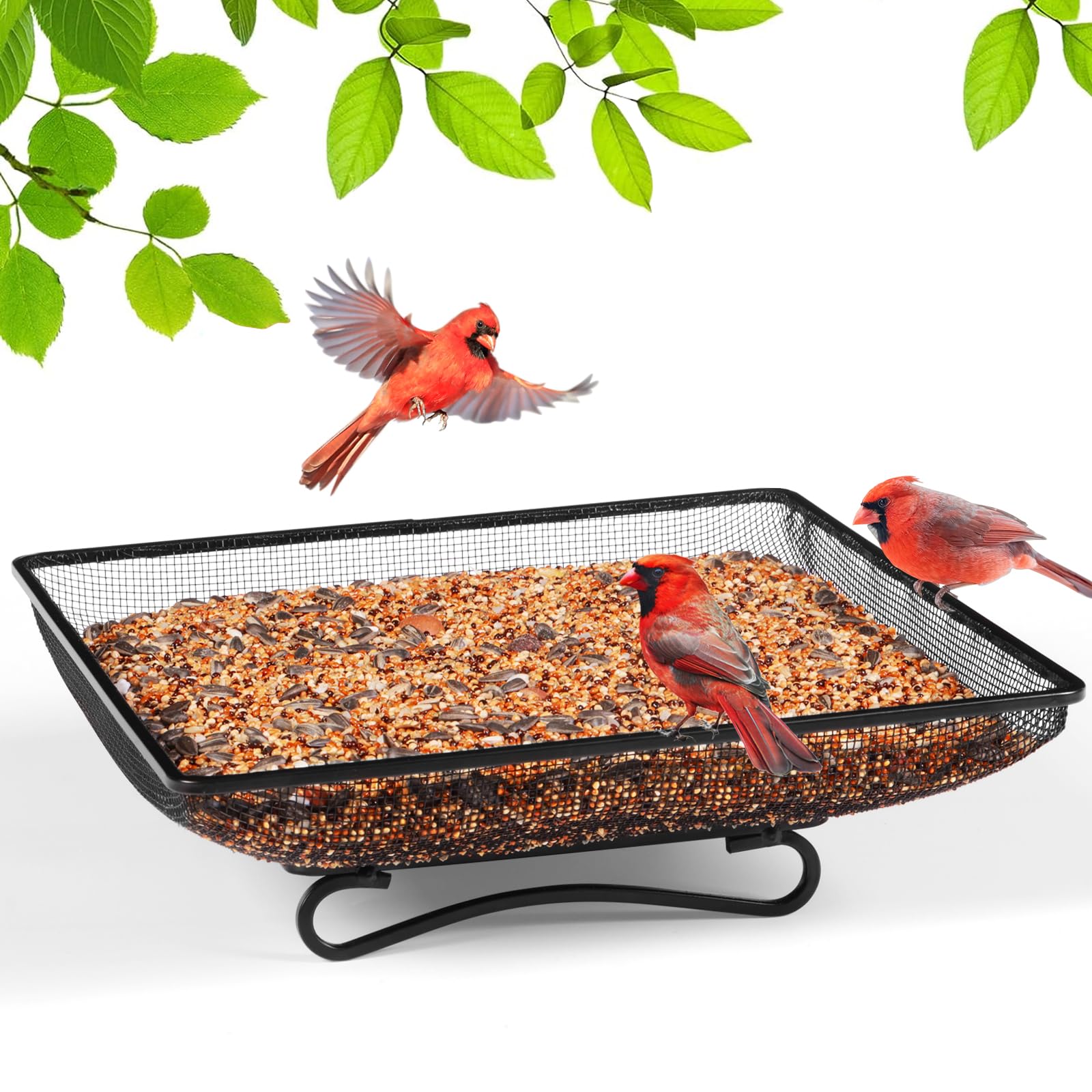 MIXXIDEA ground bird feeder tray with steel mesh for dry seeds and steady feeding.
