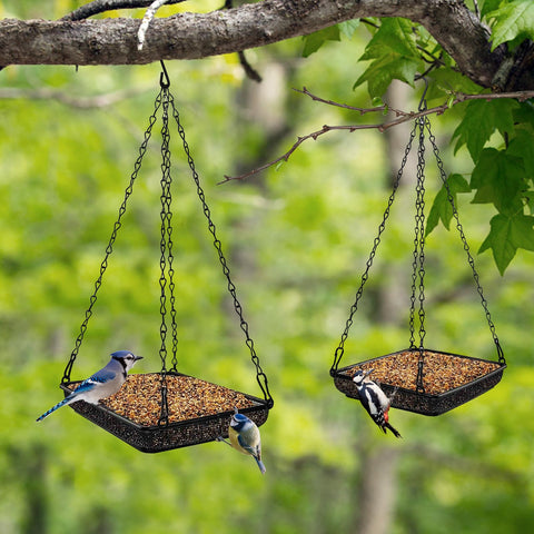 Visible seed level on MIXXIDEA feeder helps timely refills for birds