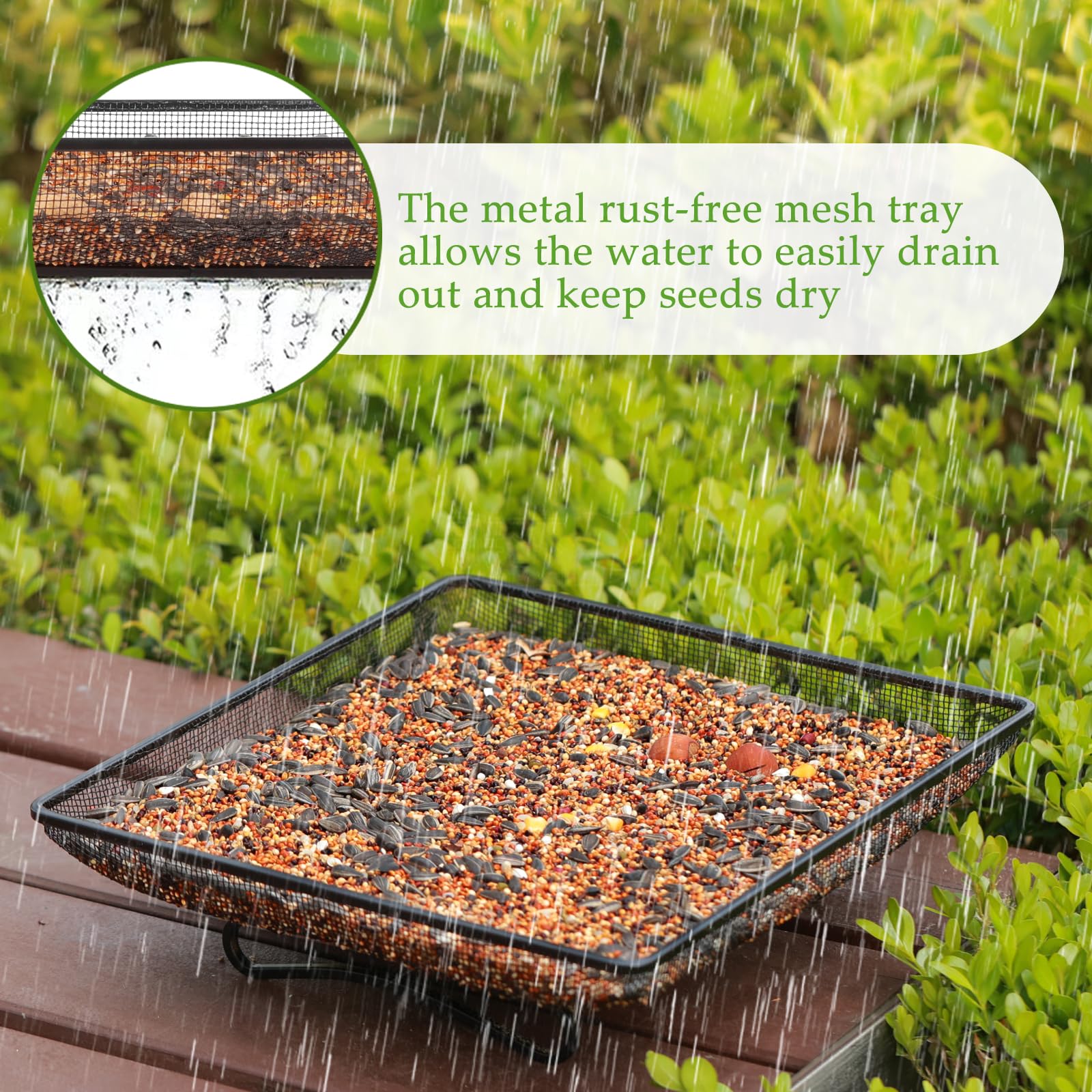 MIXXIDEA spacious seed tray invites multiple birds and squirrels to visit.