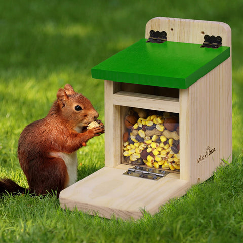MIXXIDEA outdoor feeder invites frequent visits from curious squirrels.