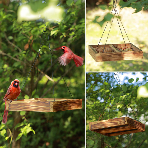 MIXXIDEA sturdy squirrel-feeder tray minimizes wildlife interference and protects food