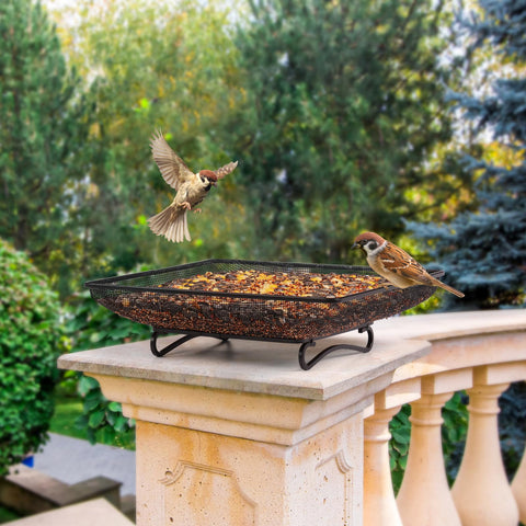 MIXXIDEA wild bird and squirrel attraction tray for lively yard visits.