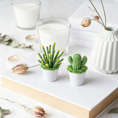 Mizelu gift-ready DIY décor ideal for Valentine’s Day or Mother’s Day.