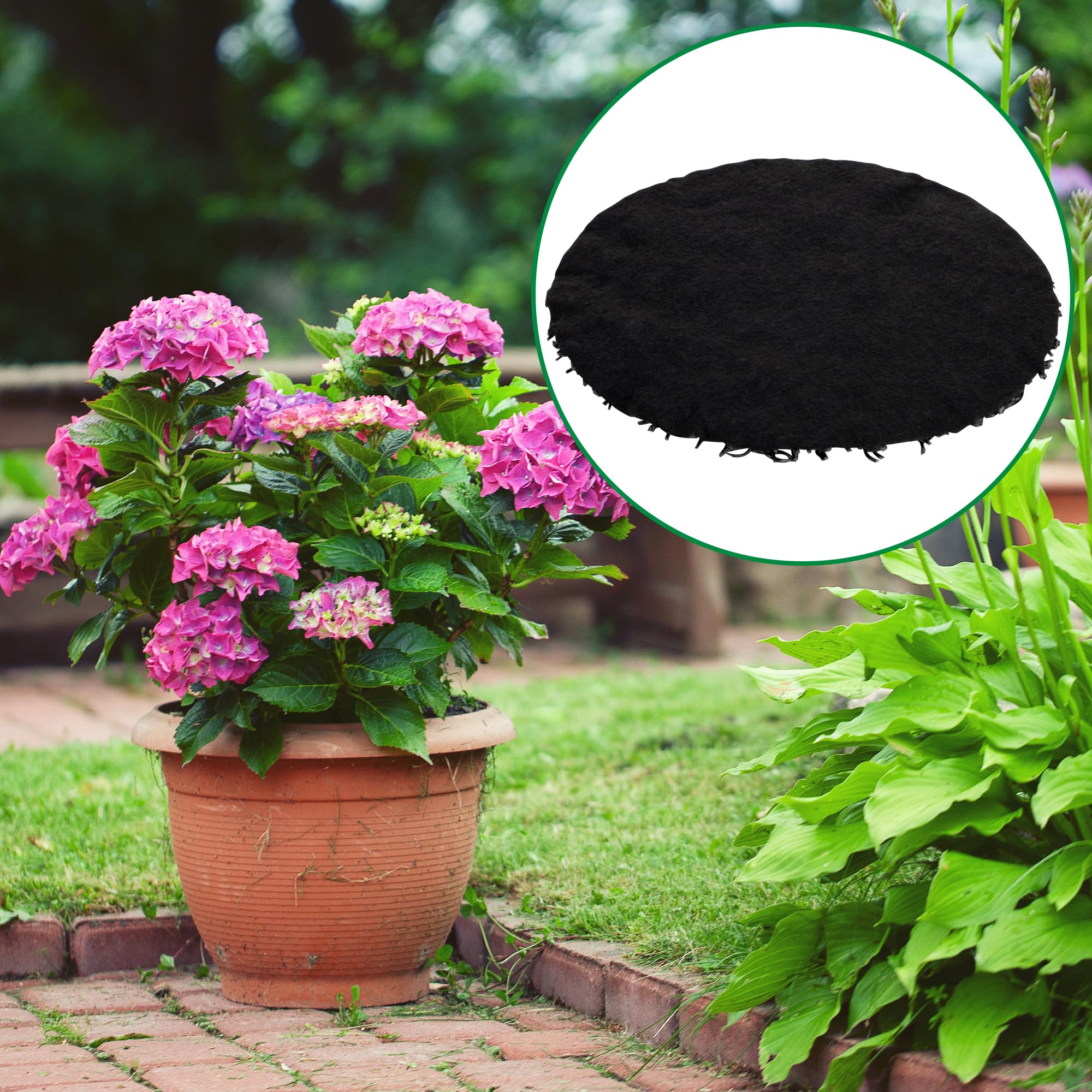 Mizelu disc used in indoor and outdoor pots for versatile gardening.